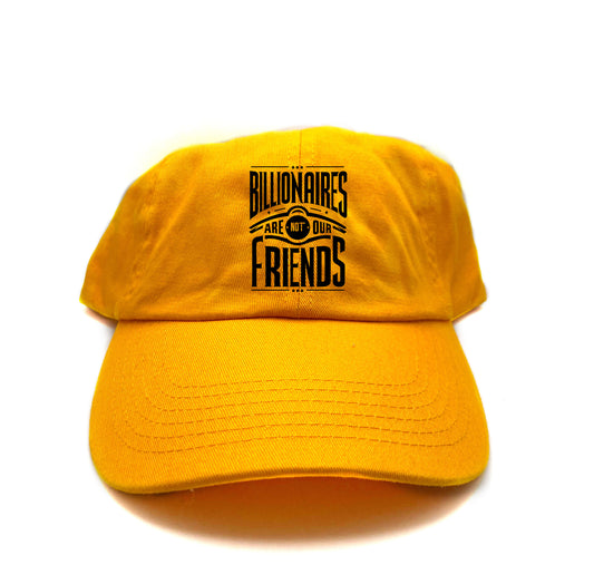Billionaires Are Not Our Friends Dad Hat