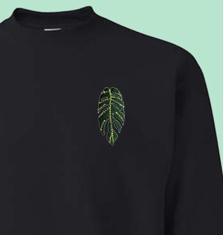 Monstera Pinnatipartita Sweatshirt