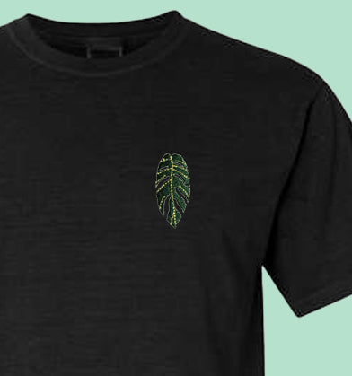Monstera Pinnatipartita Tee Shirt