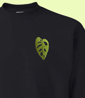 Monstera Obliqua Sweatshirt