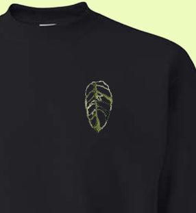Monstera Obliqua 2 Sweatshirt