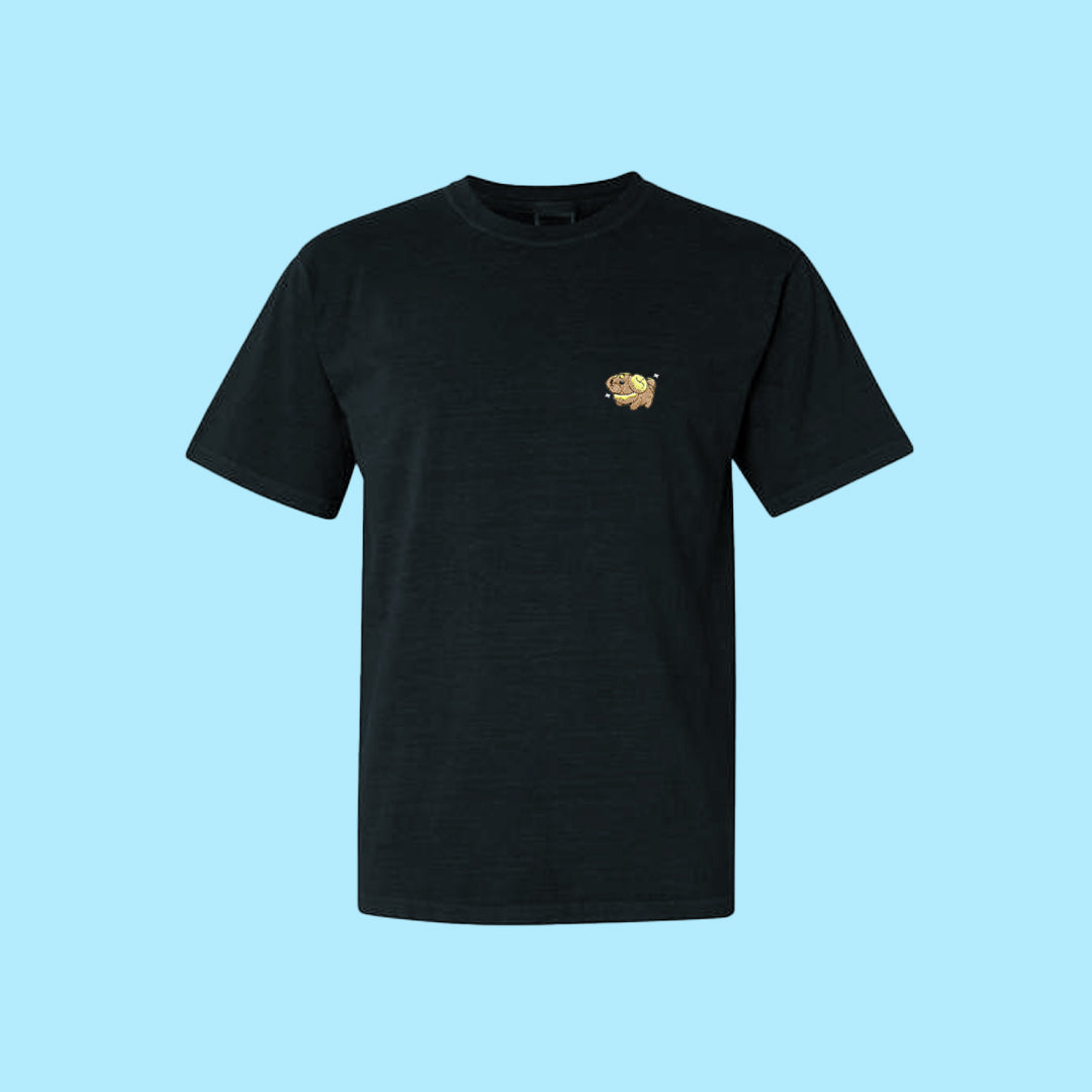 #0926 shiny tee shirt