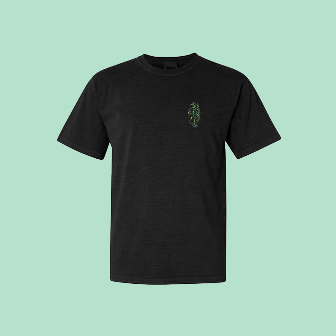 Monstera Pinnatipartita Tee Shirt