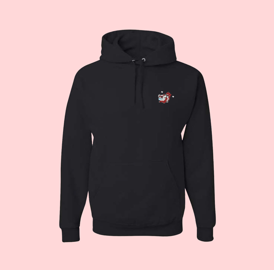 #0263 shiny hoodie