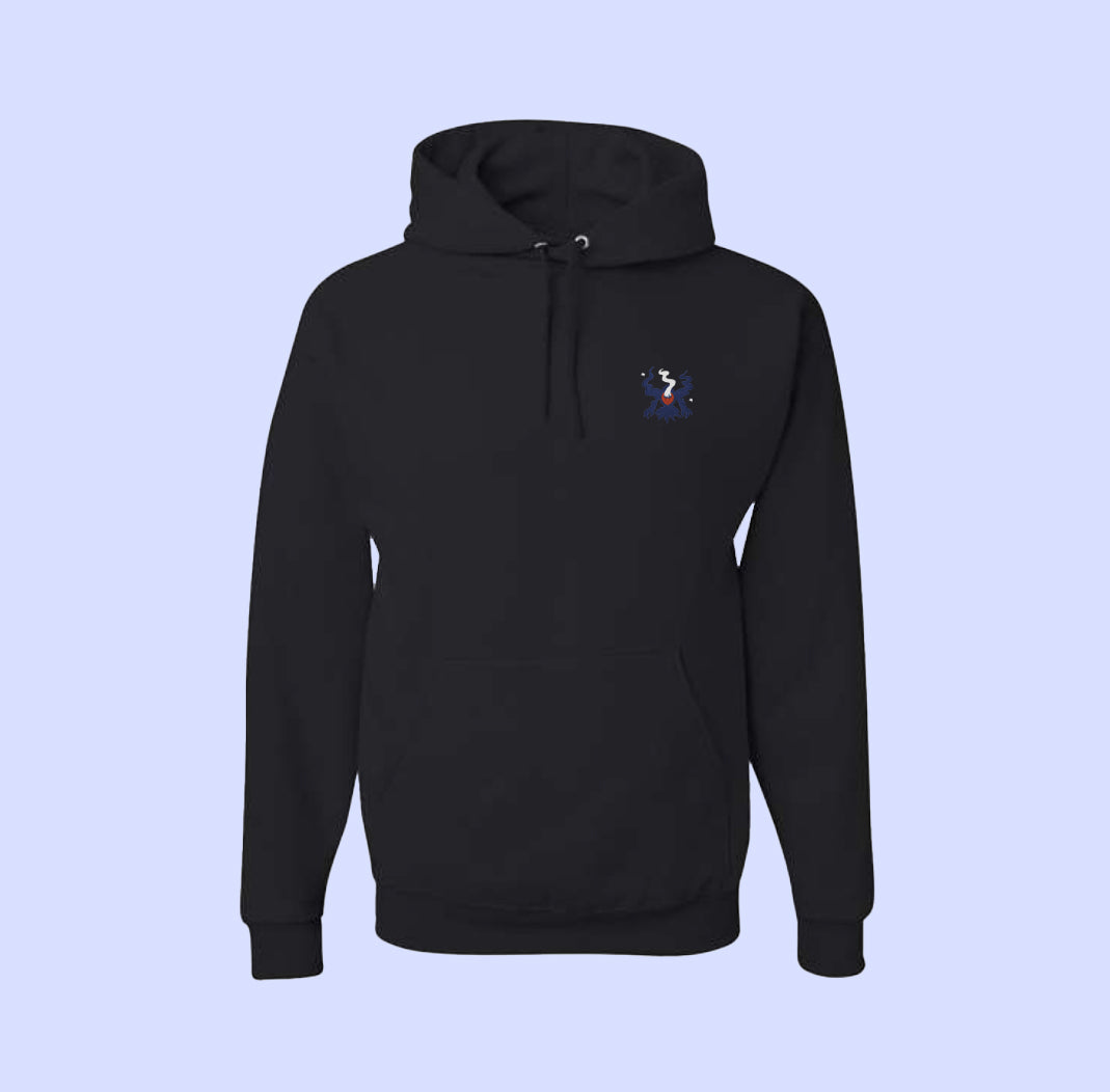 #0491 shiny hoodie