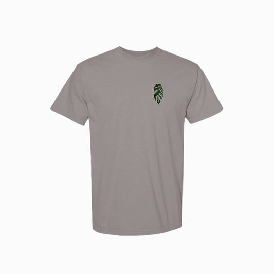 Monstera Pinnatipartita Tee Shirt