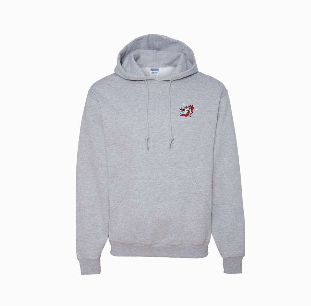 #0263 shiny hoodie