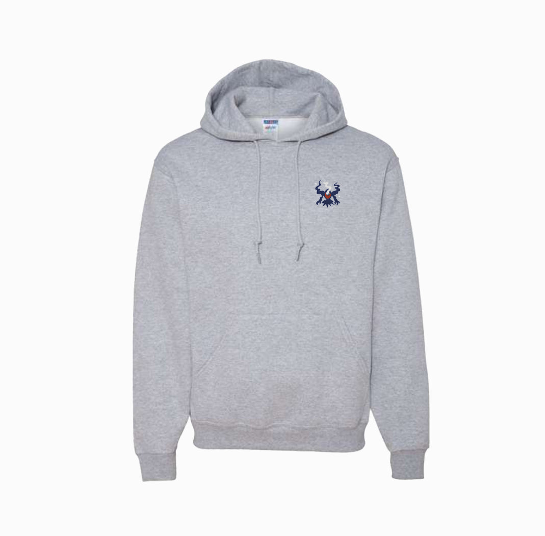 #0491 shiny hoodie