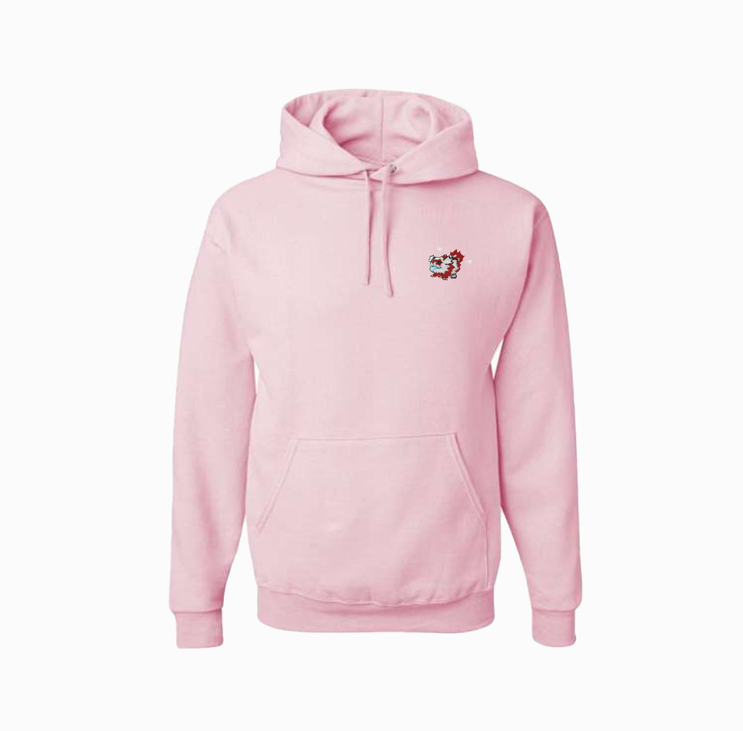 #0263 shiny hoodie