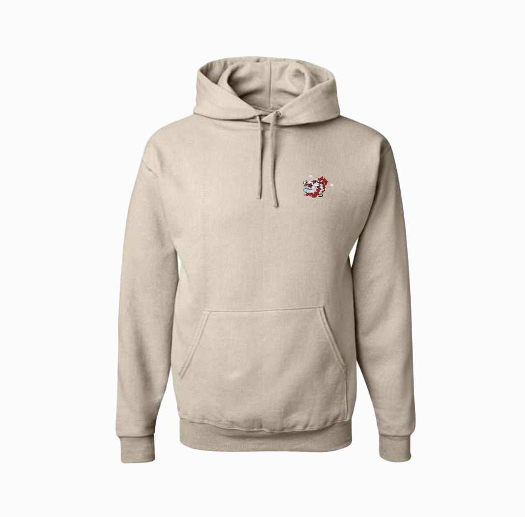 #0263 shiny hoodie