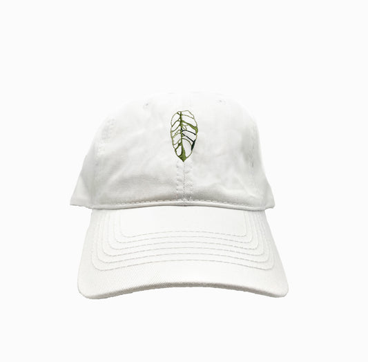 Monstera Obliqua 2 Dad Hat