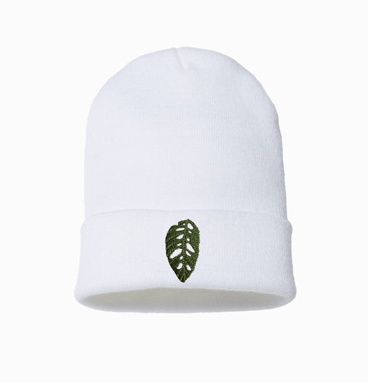 Monstera Adansonii Beanie