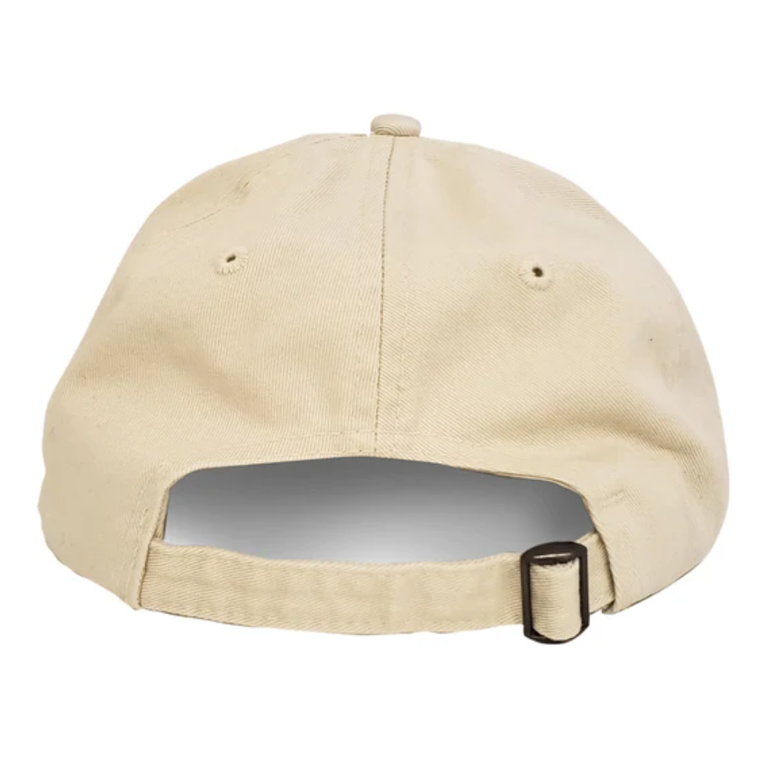#0610 shiny dad hat