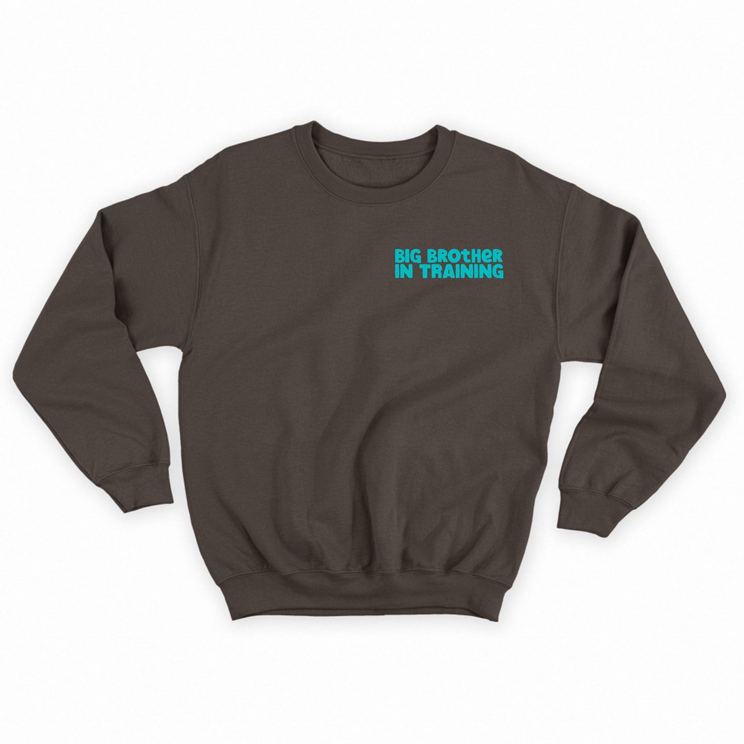 big brother in training light blue green sweatshirt