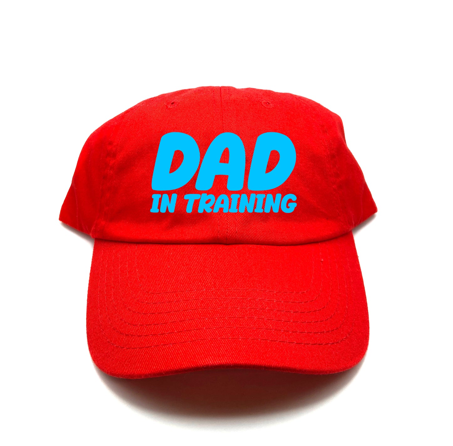 dad in training blue dad hat