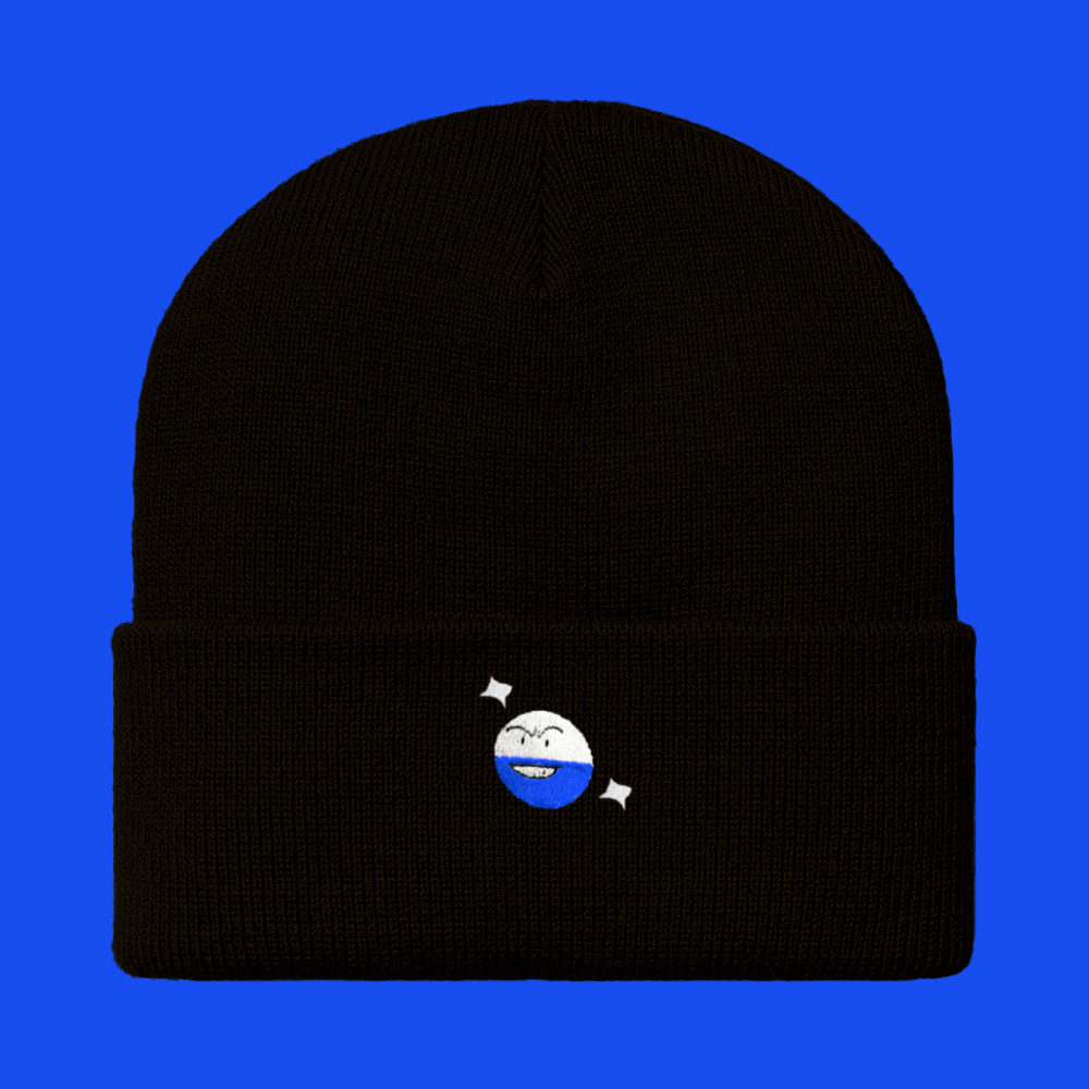 #0101 shiny beanie