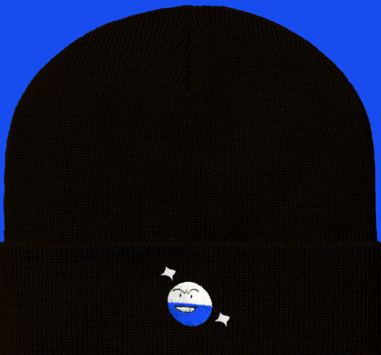 #0101 shiny beanie