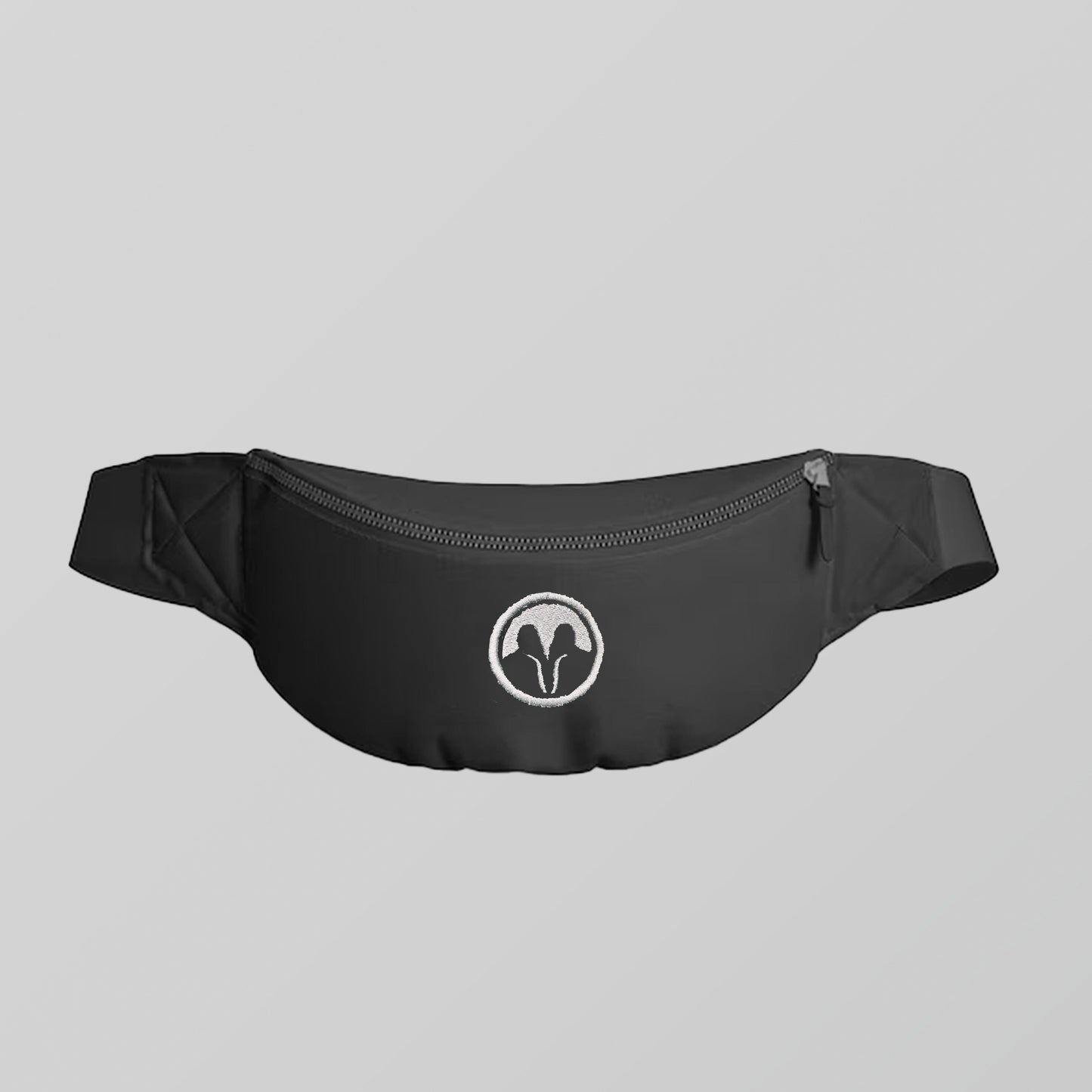night owl fanny pack
