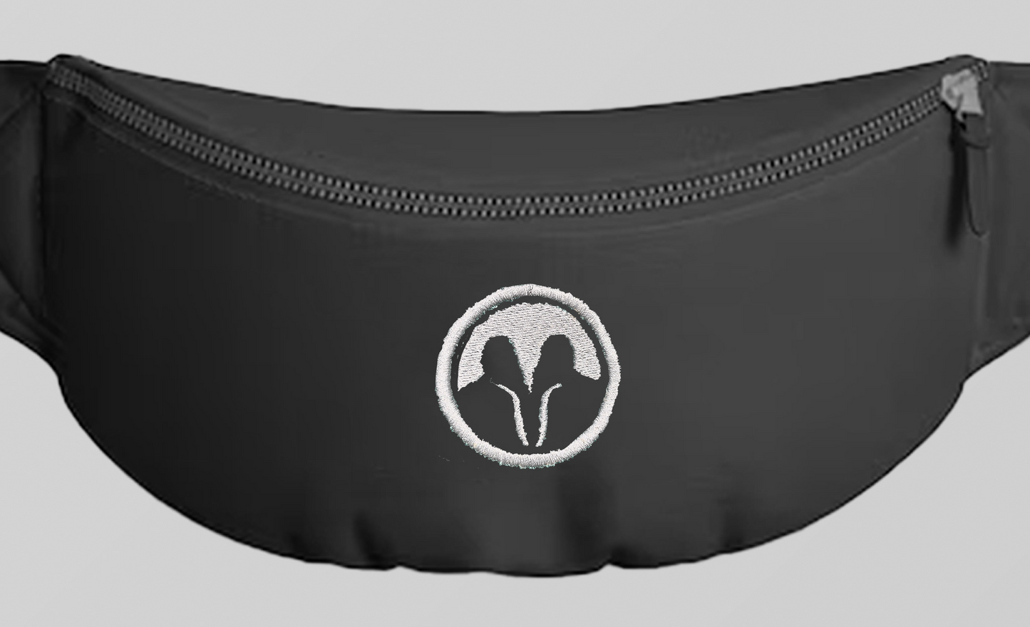 night owl fanny pack
