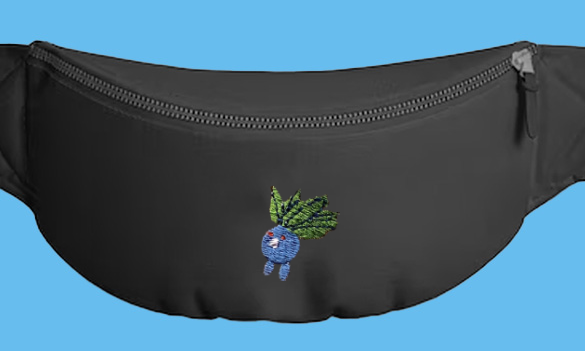 #0043 fanny pack