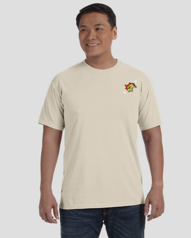 #0155 shiny tee shirt