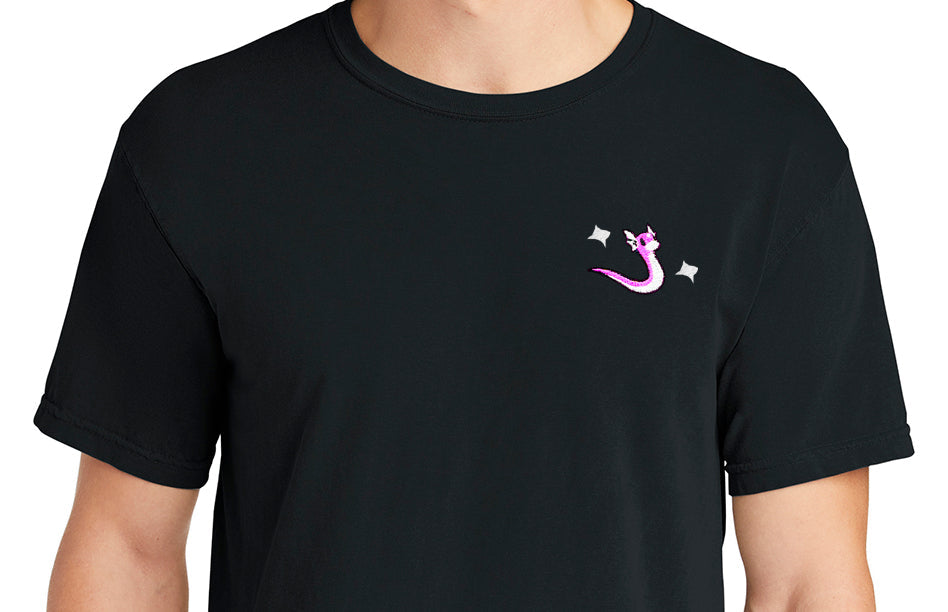 #0147 shiny tee shirt