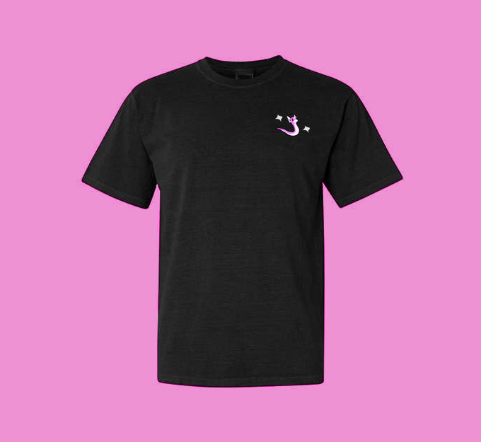 #0147 shiny tee shirt