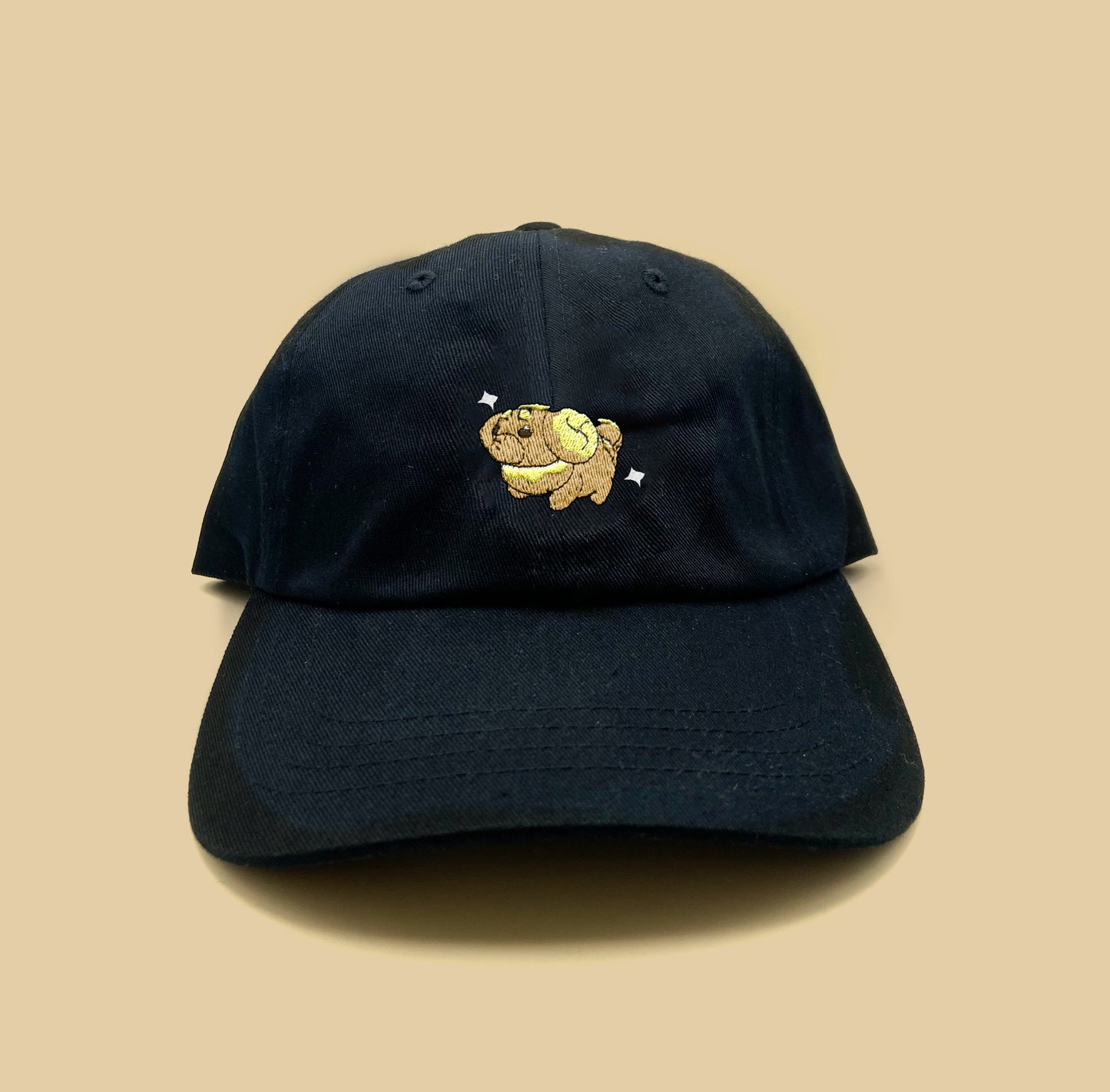 #0926 shiny dad hat