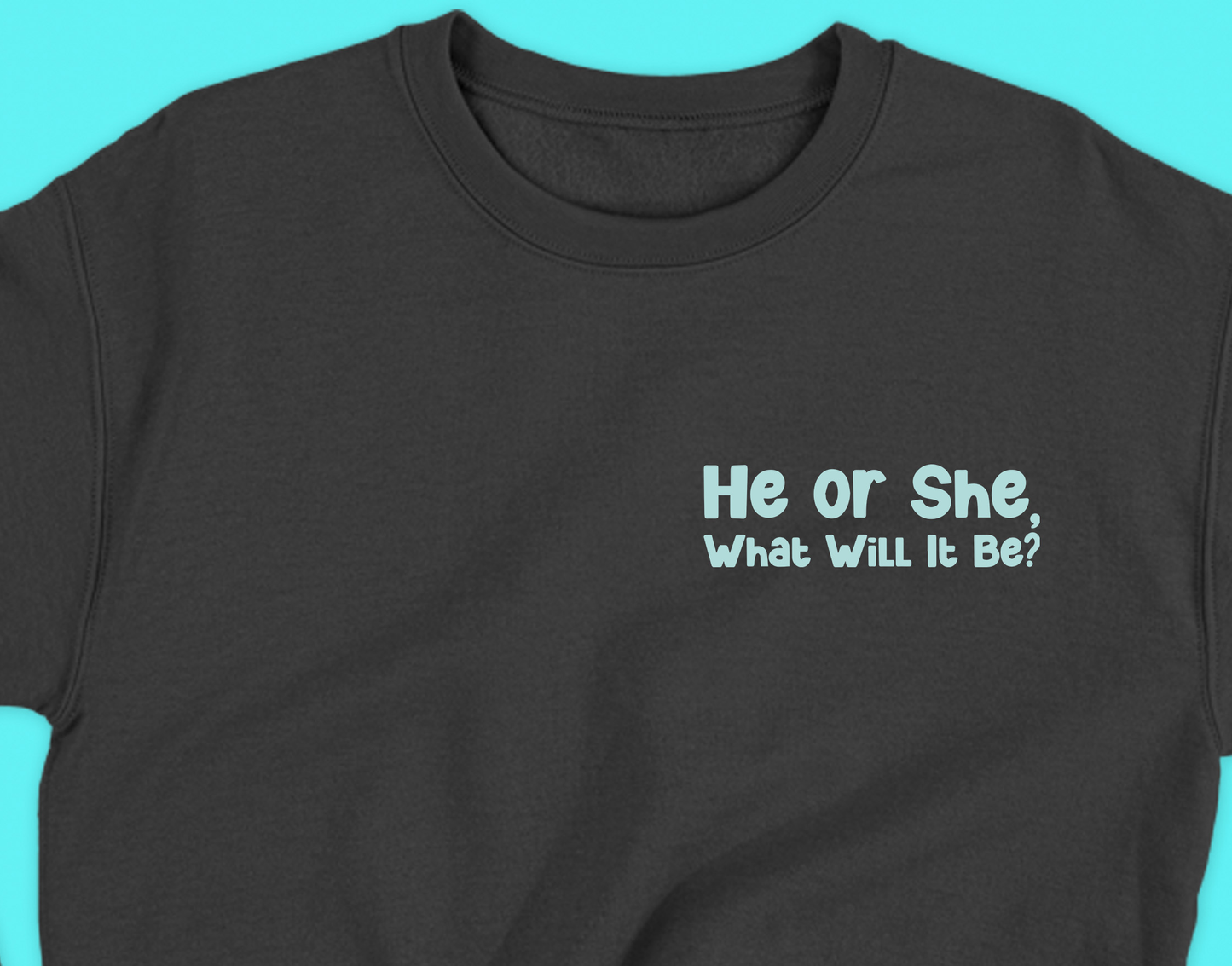 He or She, What Will It Be? Teal Sweatshirt