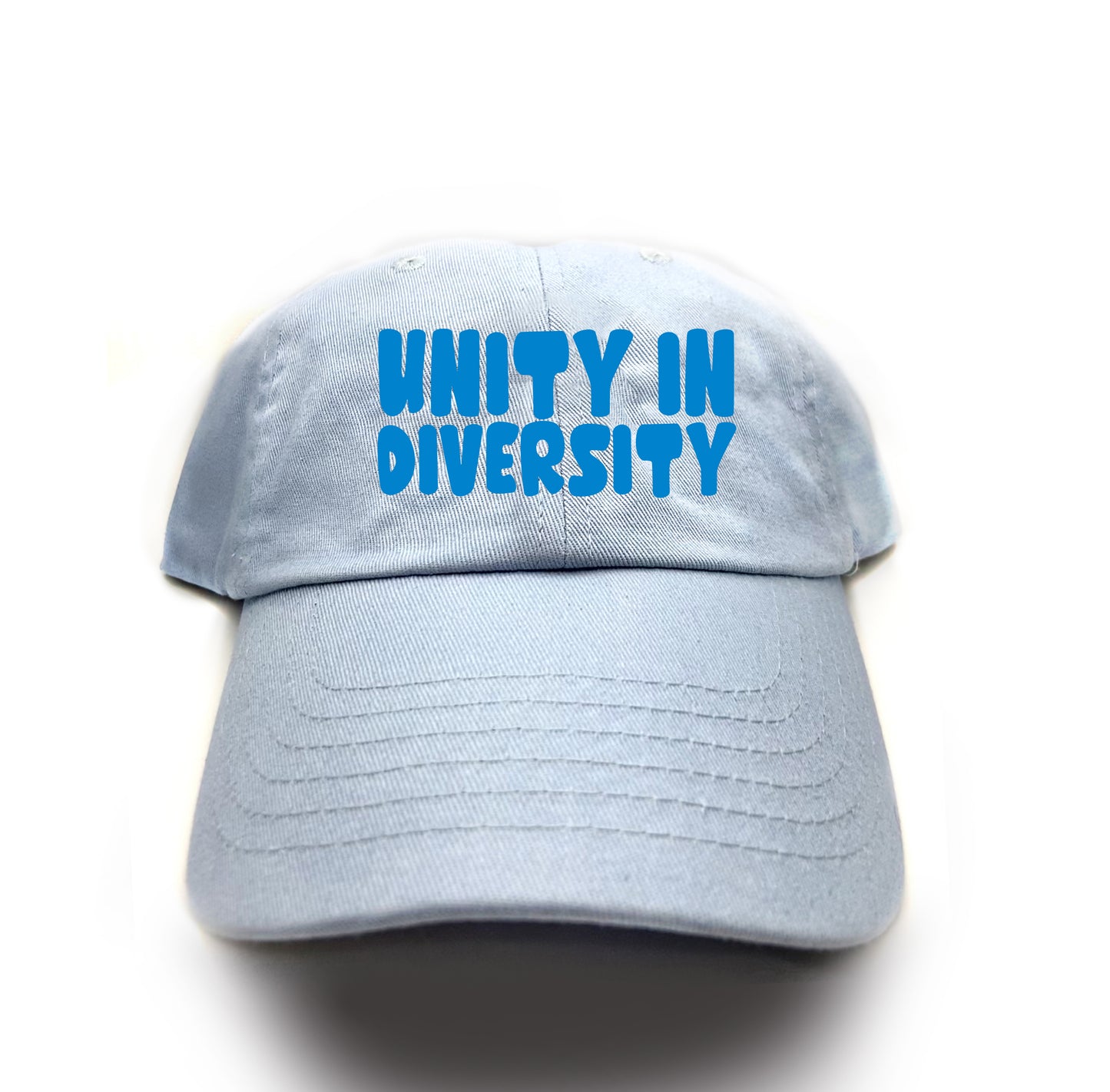 Unity in Diversity Blue Dad Hat