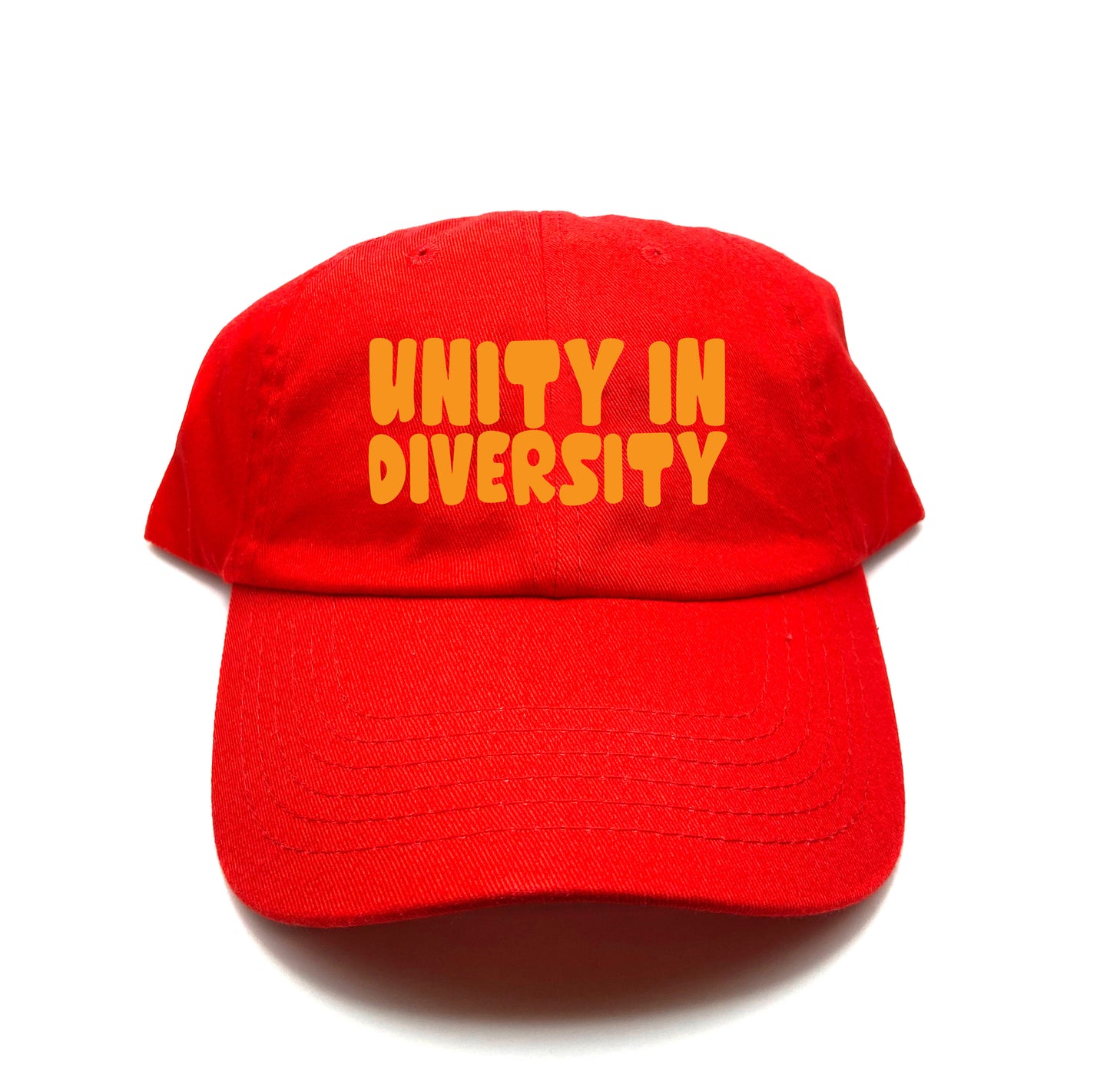 Unity in Diversity Orange Dad Hat