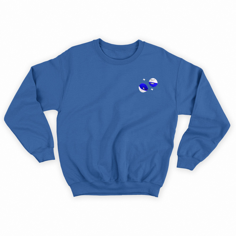 #0100 and #0101 shiny sweatshirt