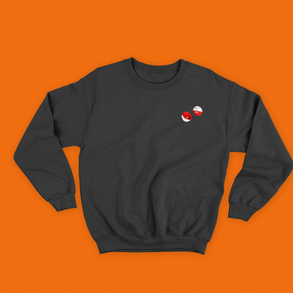 #0100 and #0101 sweatshirt