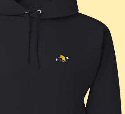 #0960 short shiny hoodie