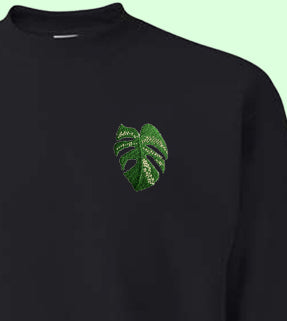 Monstera Variegata  Sweatshirt