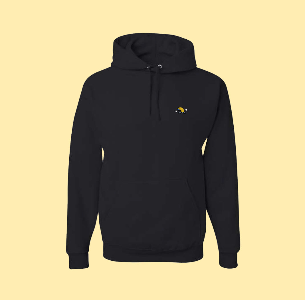 #0960 short shiny hoodie