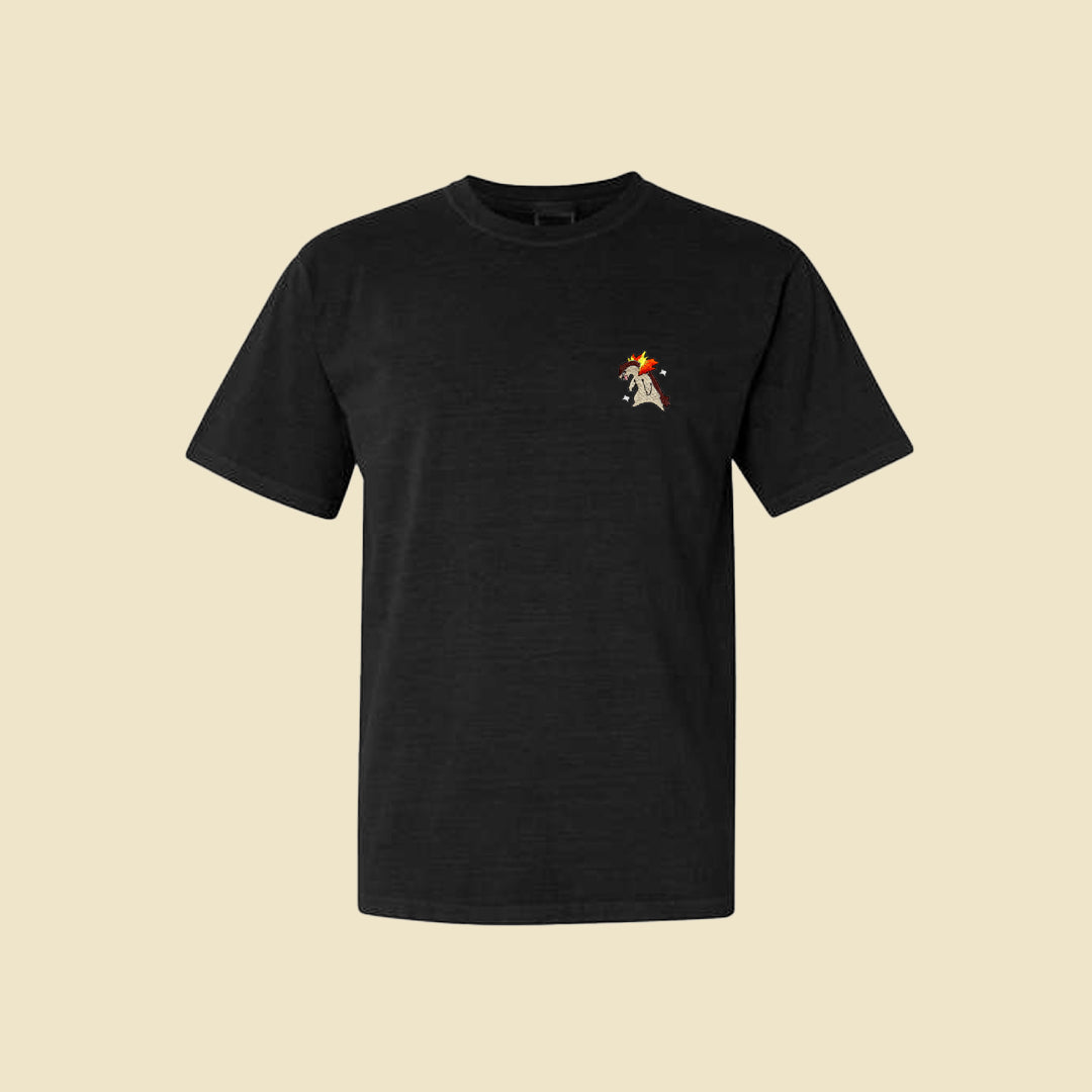 #0157 shiny tee shirt