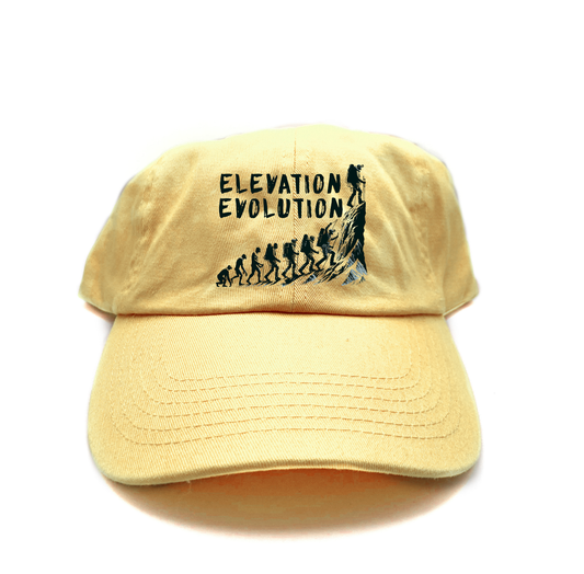"Elevation Evolution" Dad Hat