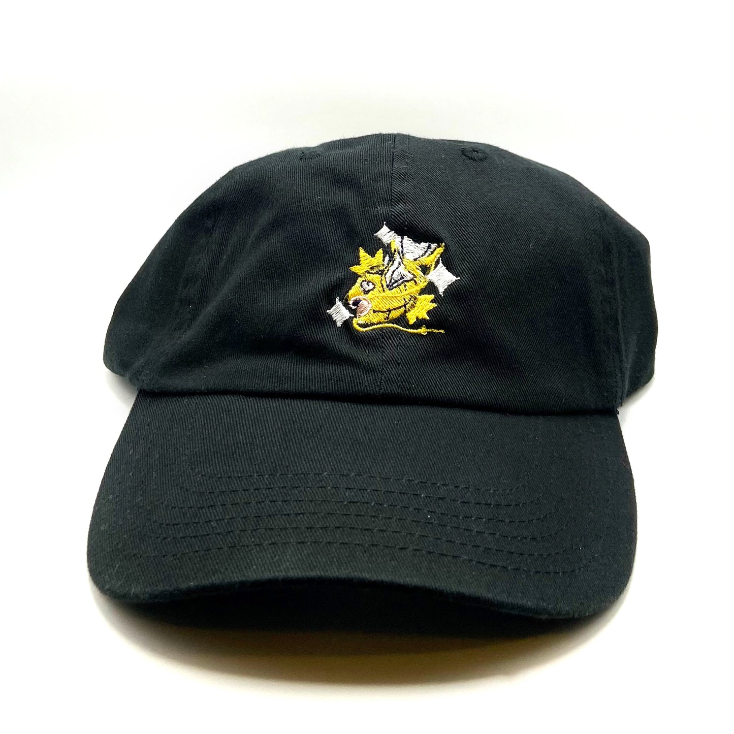#0129 shiny dad hat
