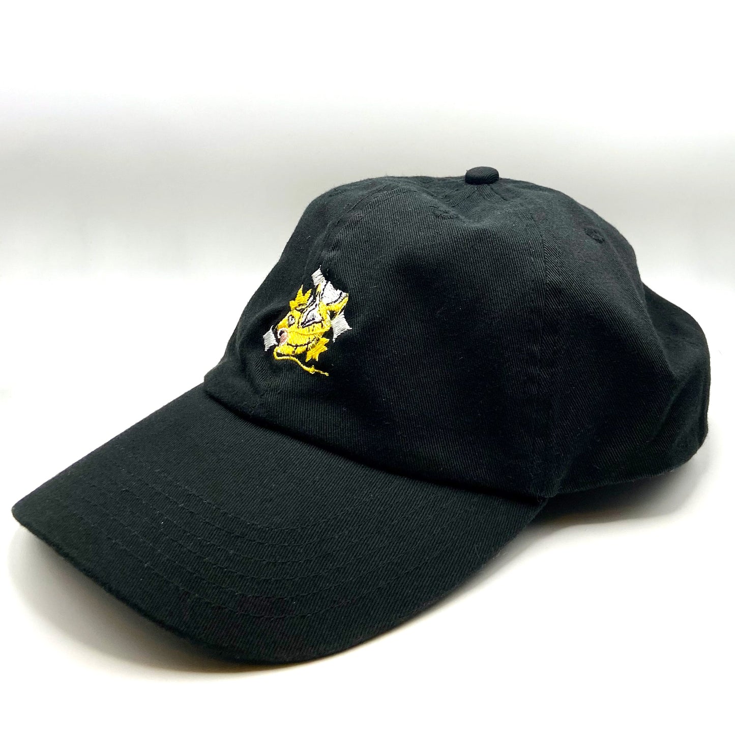 #0129 shiny dad hat