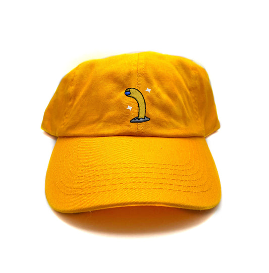 #0960 tall shiny dad hat
